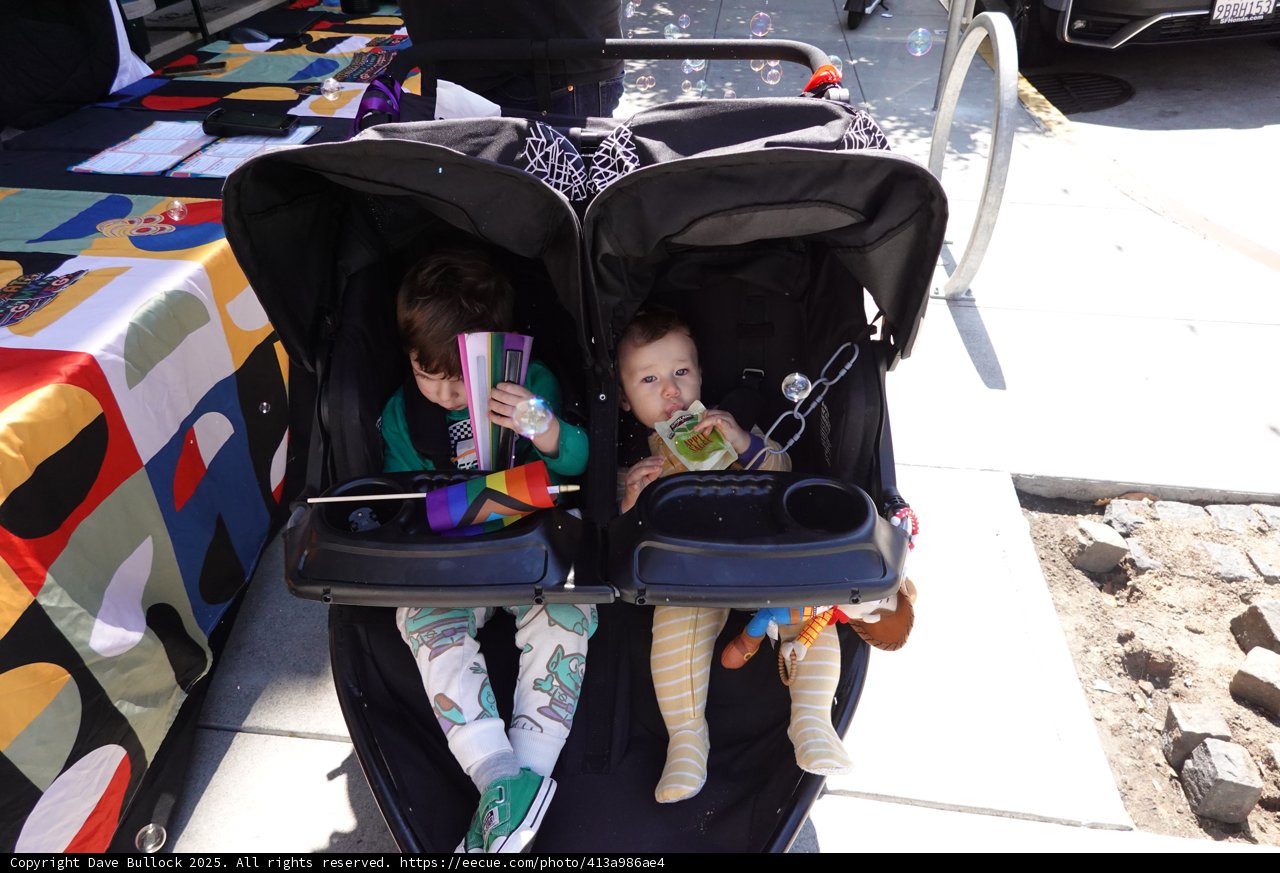 Sunny Stroller Moments