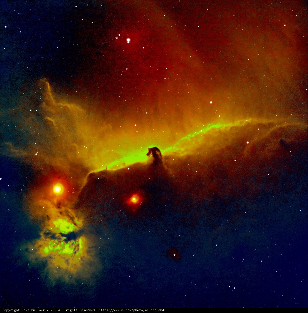 The Horsehead Nebula in Vivid False Color
