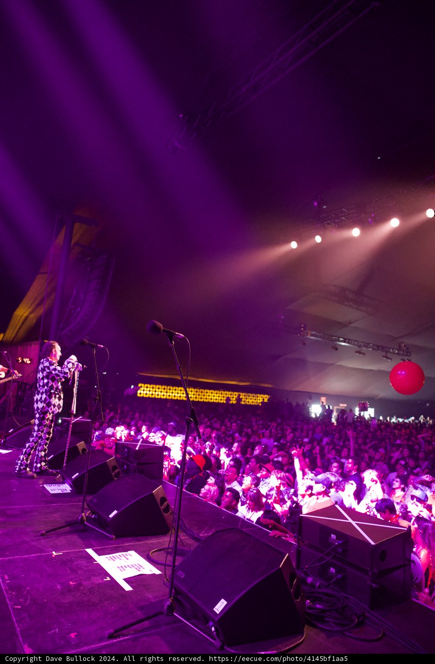 Electric Nights at Coachella 2024