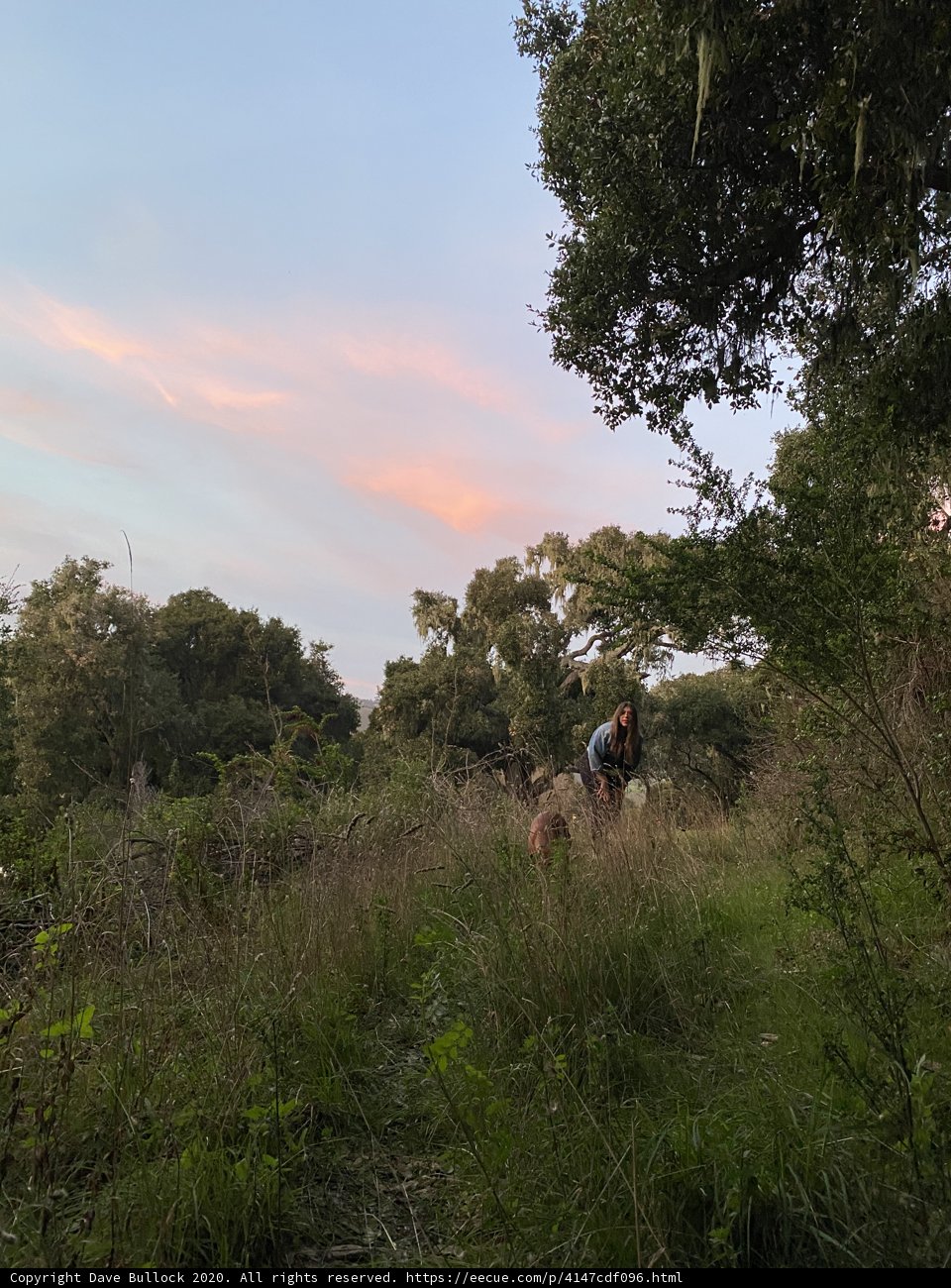 Riding into the Sunset