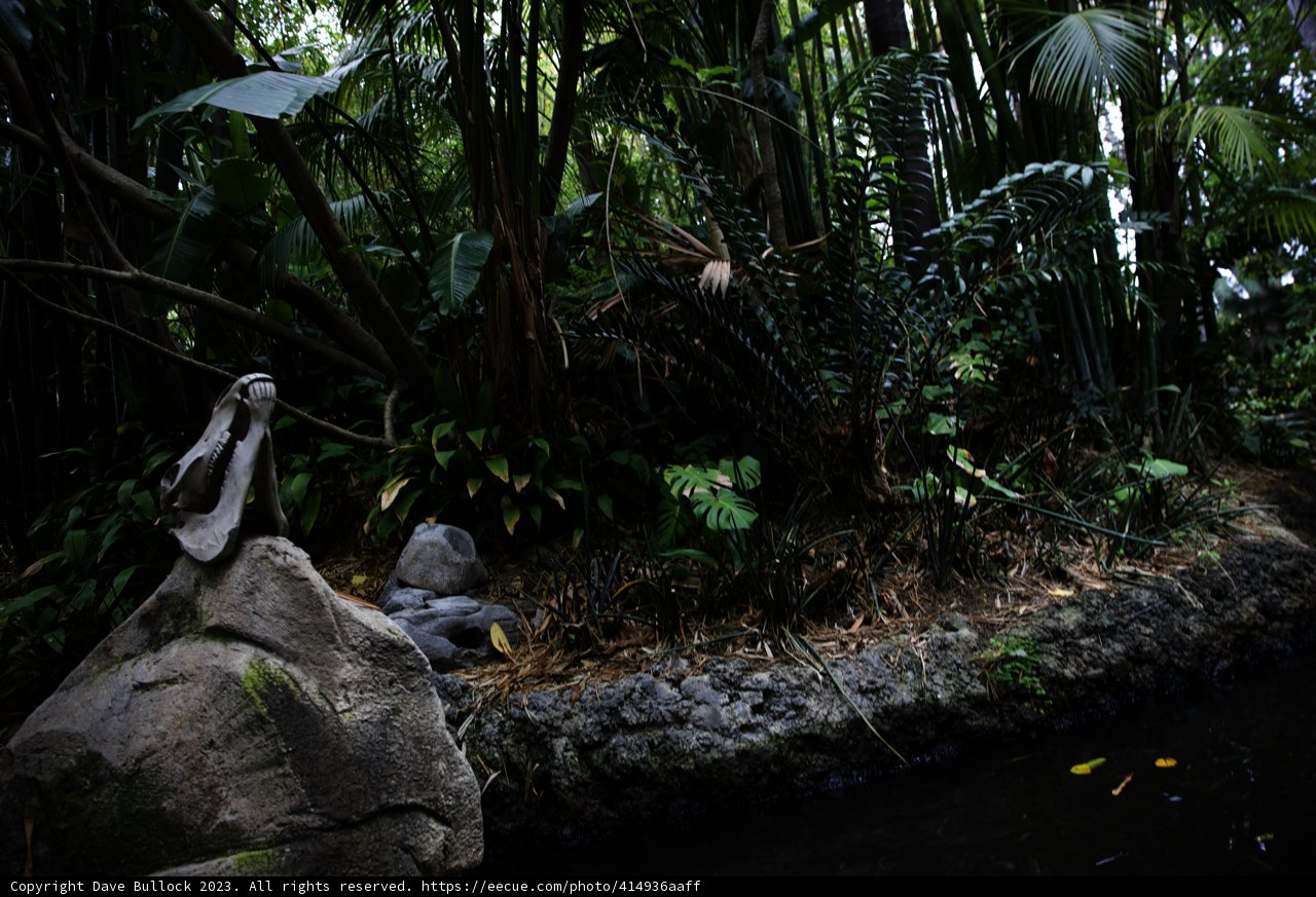 Serene Turtle Sanctuary