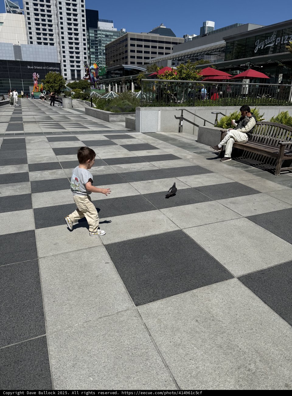 Urban Innocence
