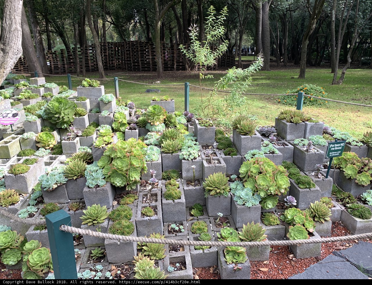 Verdant Cement Block Garden