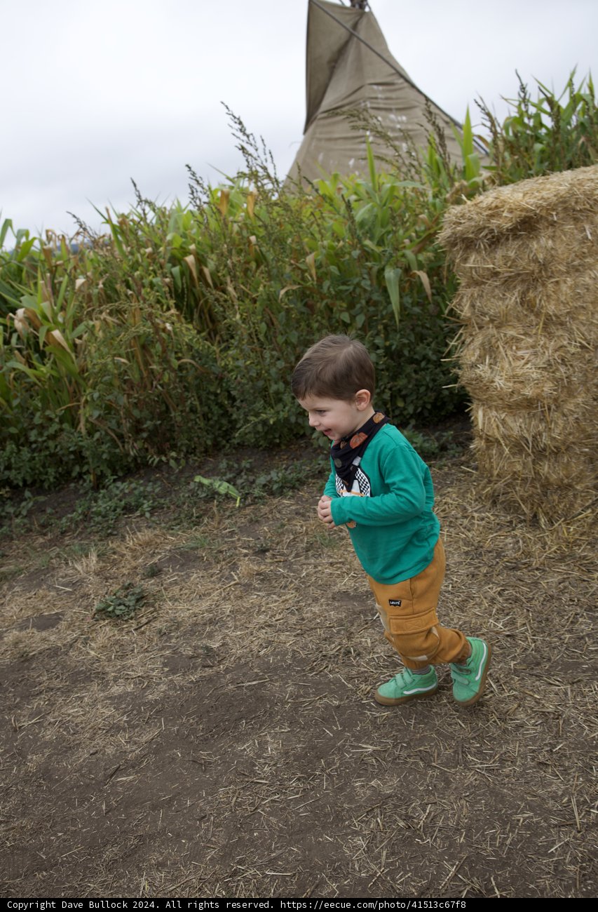 Little Explorer in the Countryside