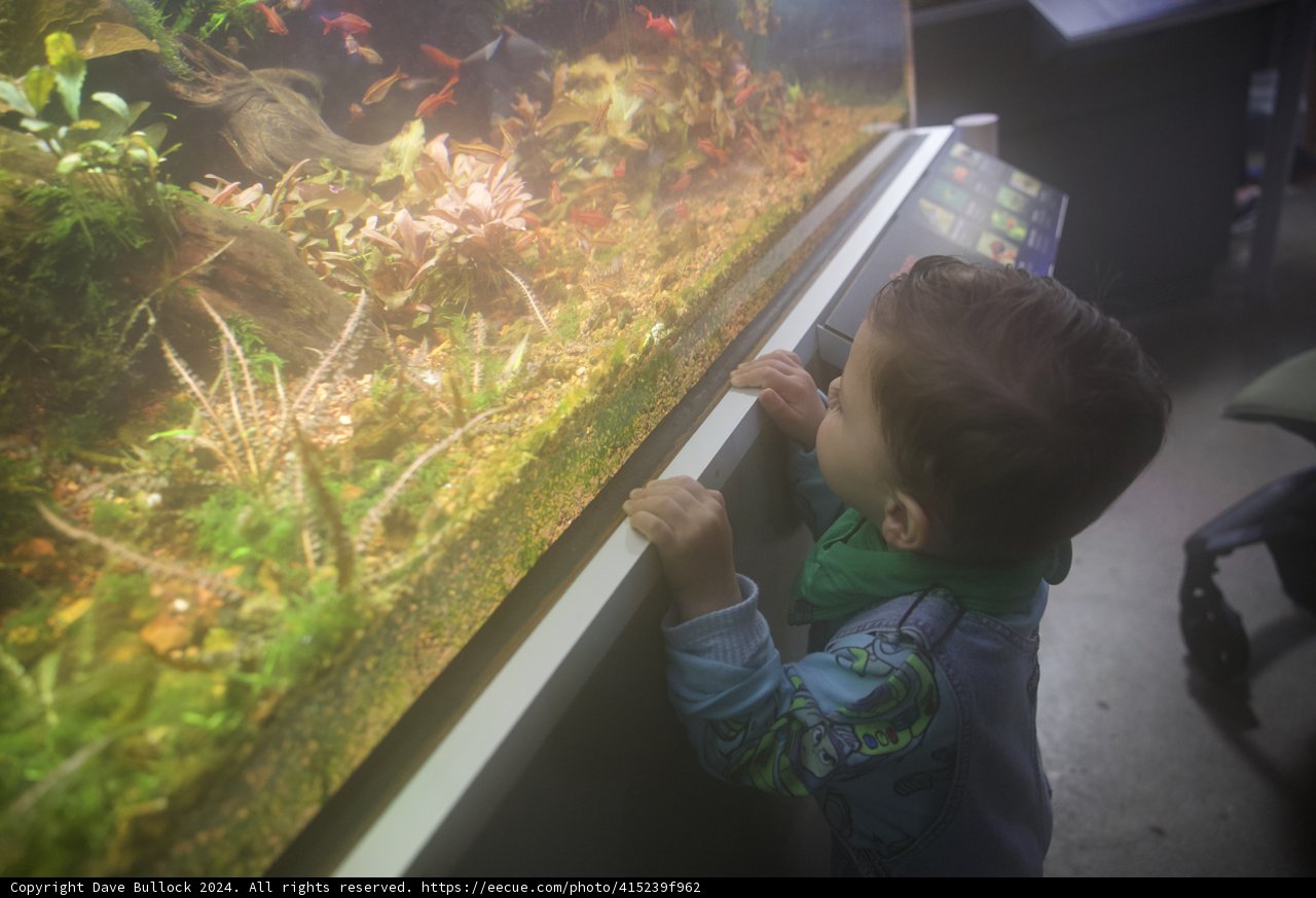 The Young Explorer's Unseen World