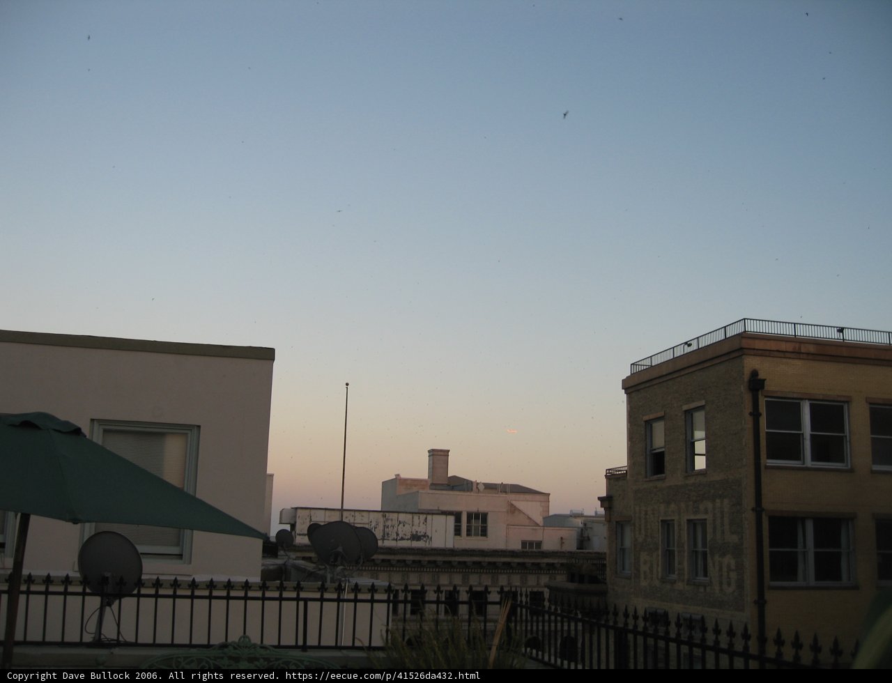 The Skyline Oasis