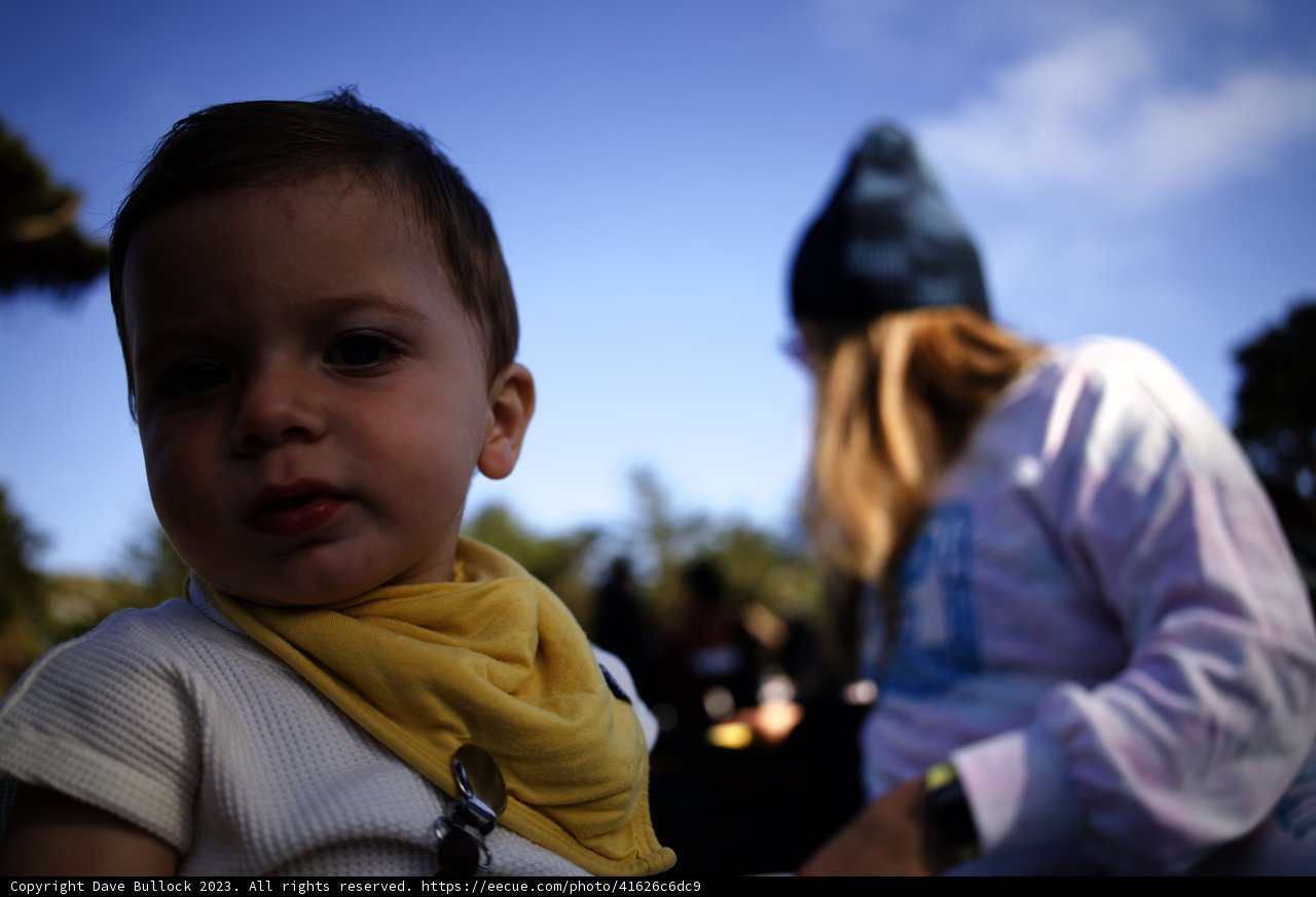 Ray of Sunshine: Sunset Adventures at the SF Zoo