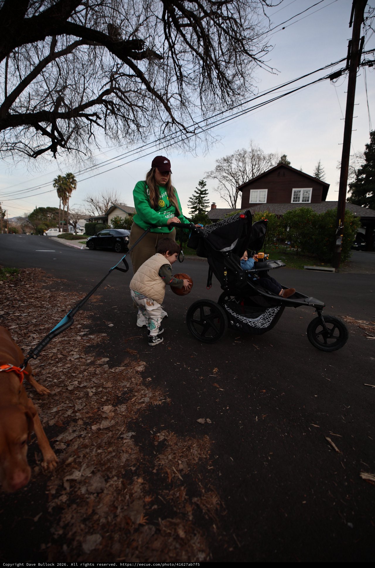 Evening Walk with Family and Dog in Suburban Neighborhood