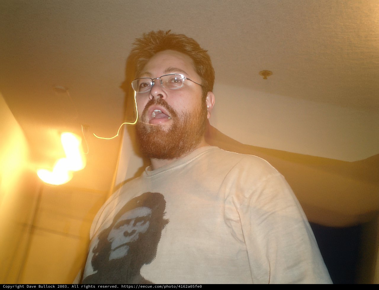 Bearded and Bespectacled