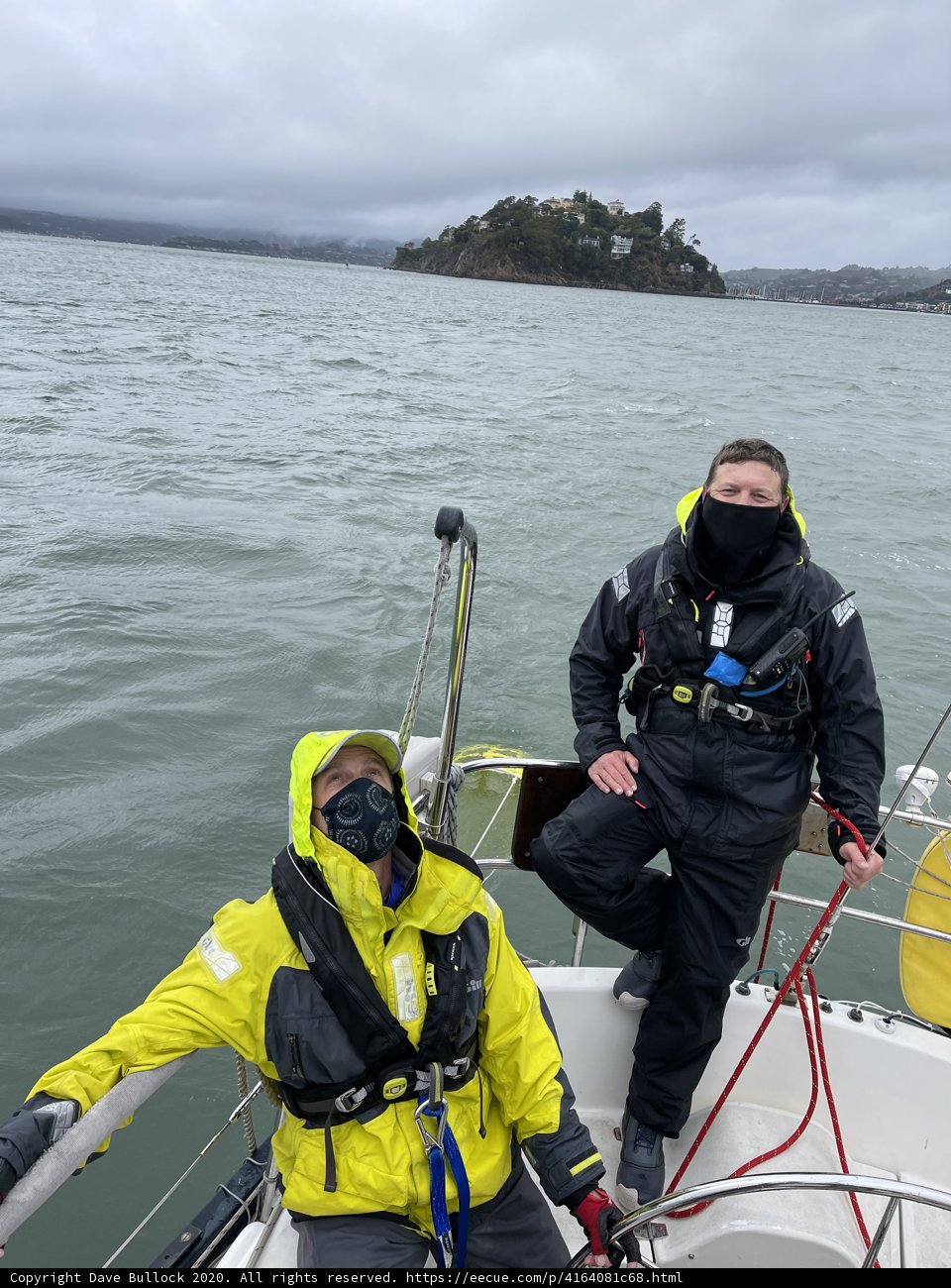 Yellow and Black Jackets on the San Francisco Bay