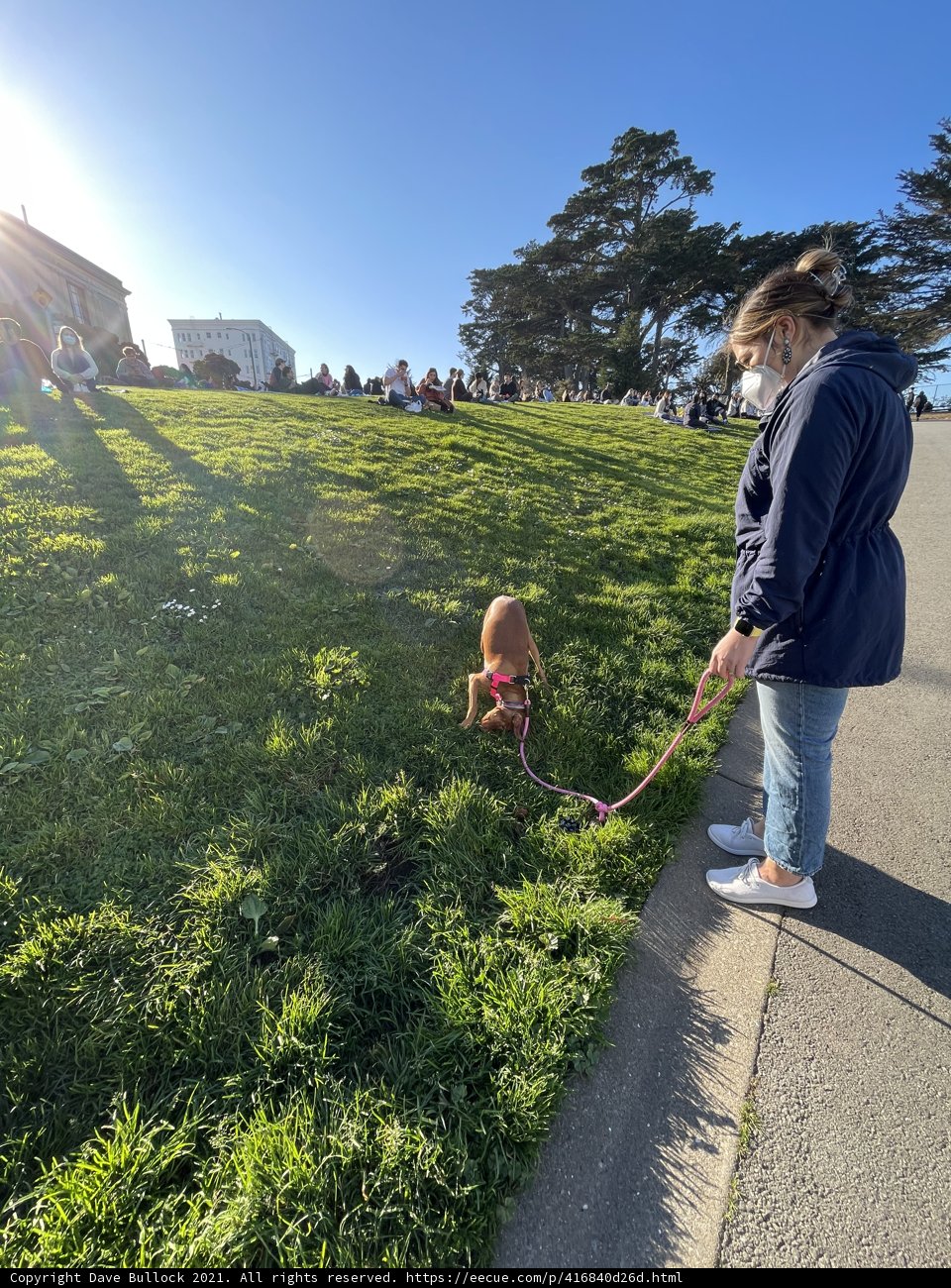 A Sunny Stroll in Alamo Square