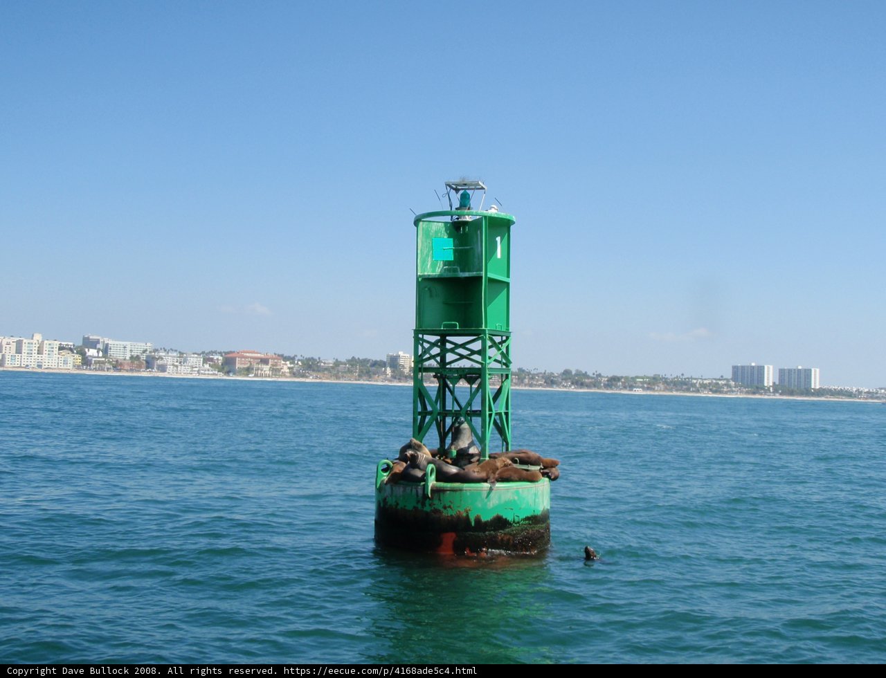 Seal's Rest