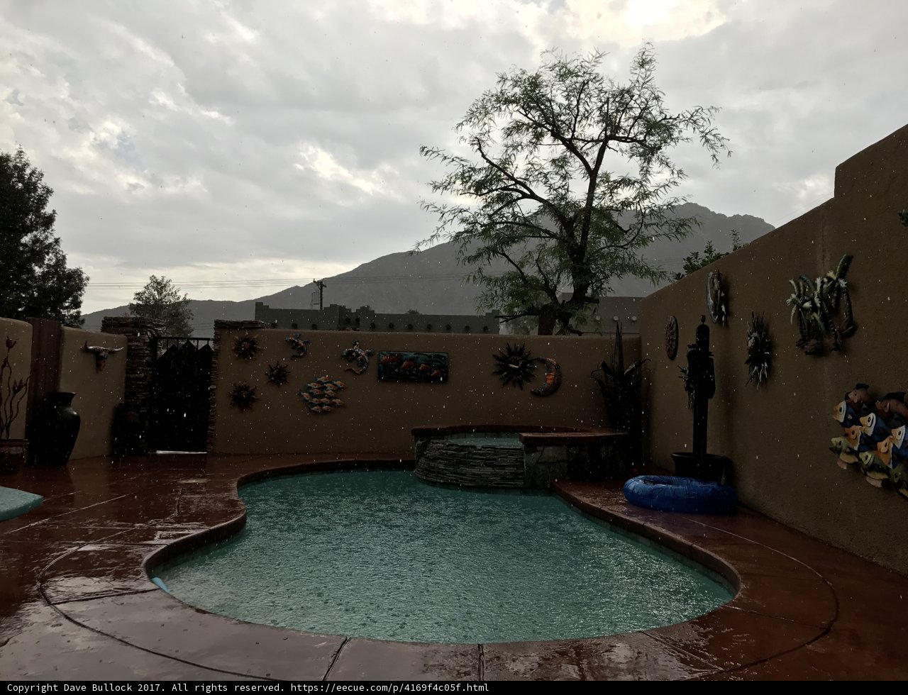 Mountain View Oasis