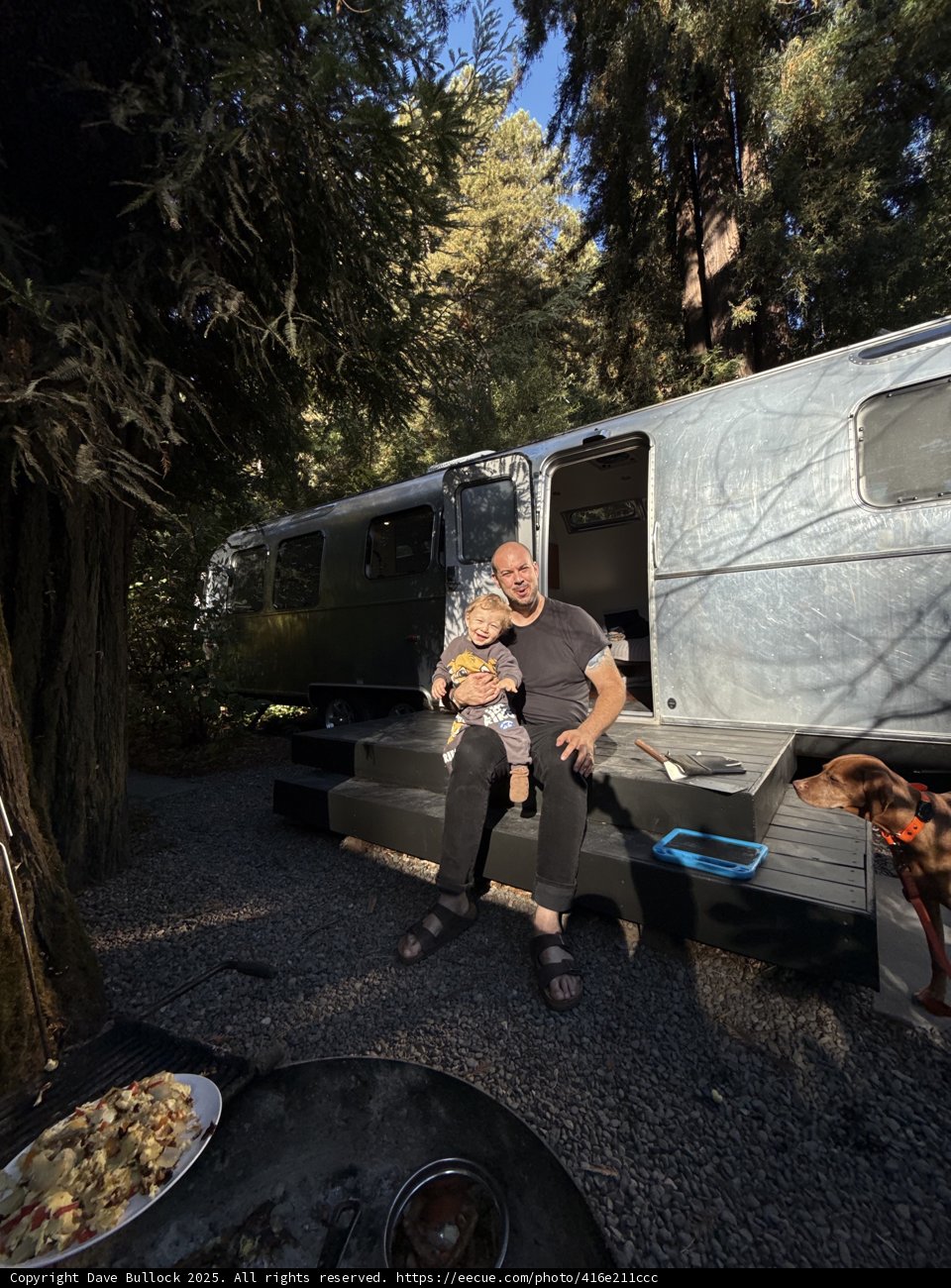 Morning in the Redwood Retreat