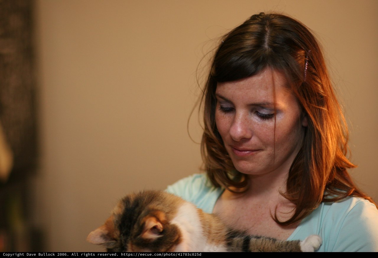 Tender Moment: Woman Cradling Calico Kitten Indoors