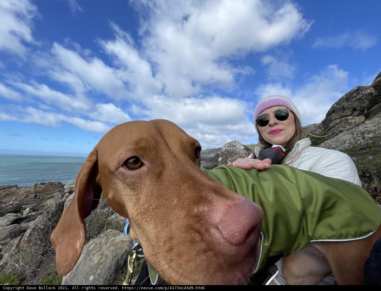 A Woman and Her Furry Companion