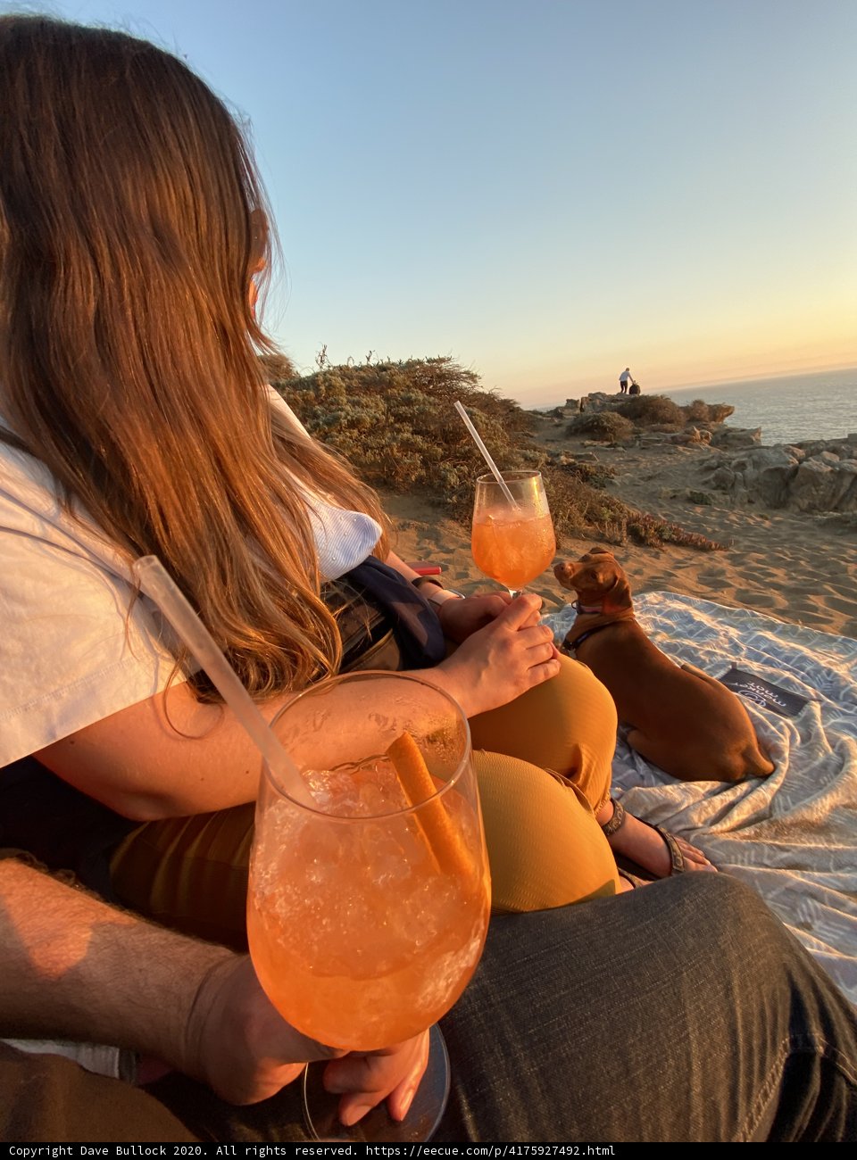 A Romantic Evening by the Jenner Beach