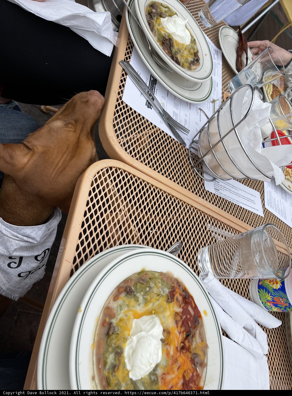 Brunching with Buddy