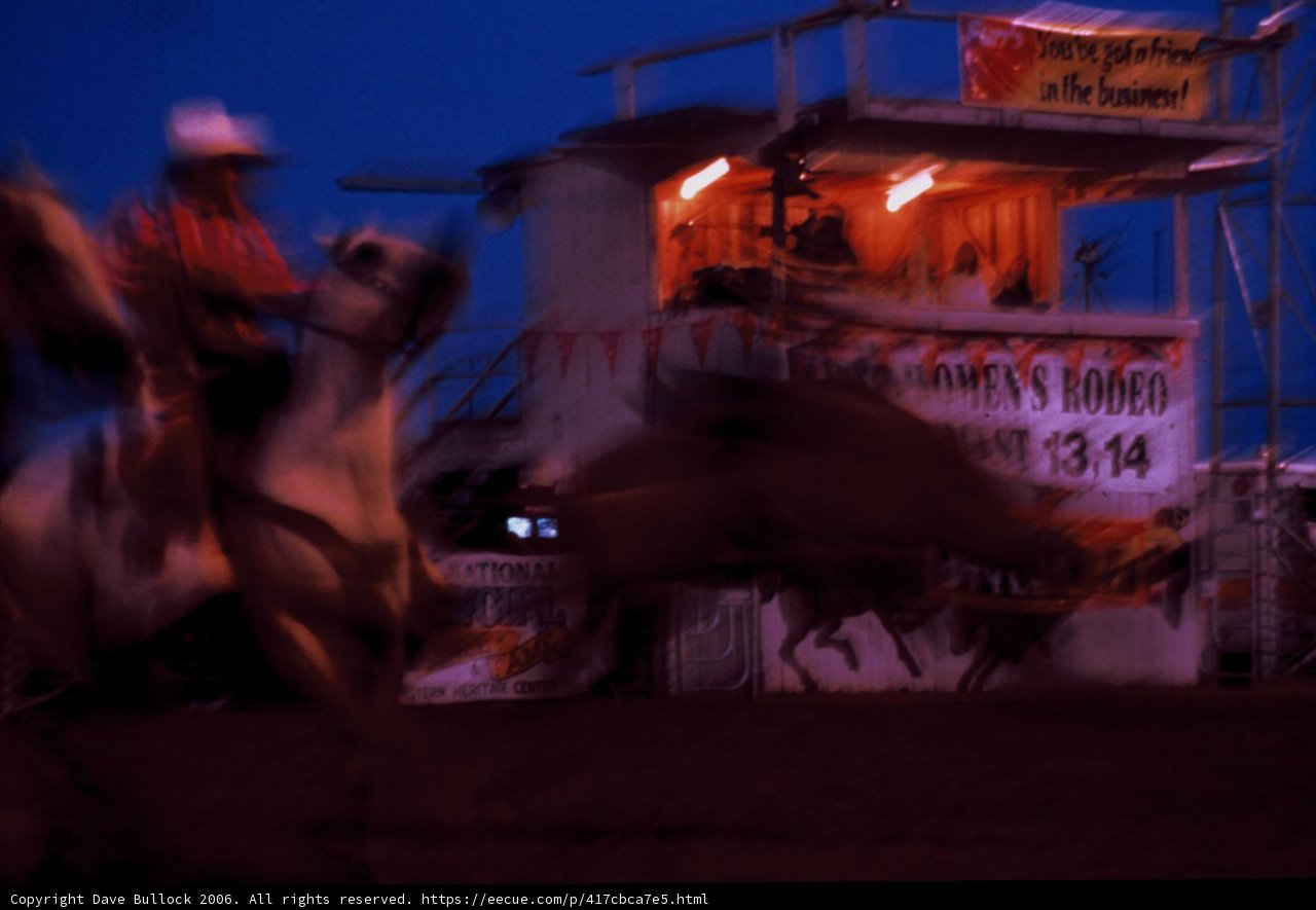 Cowboy in the Night