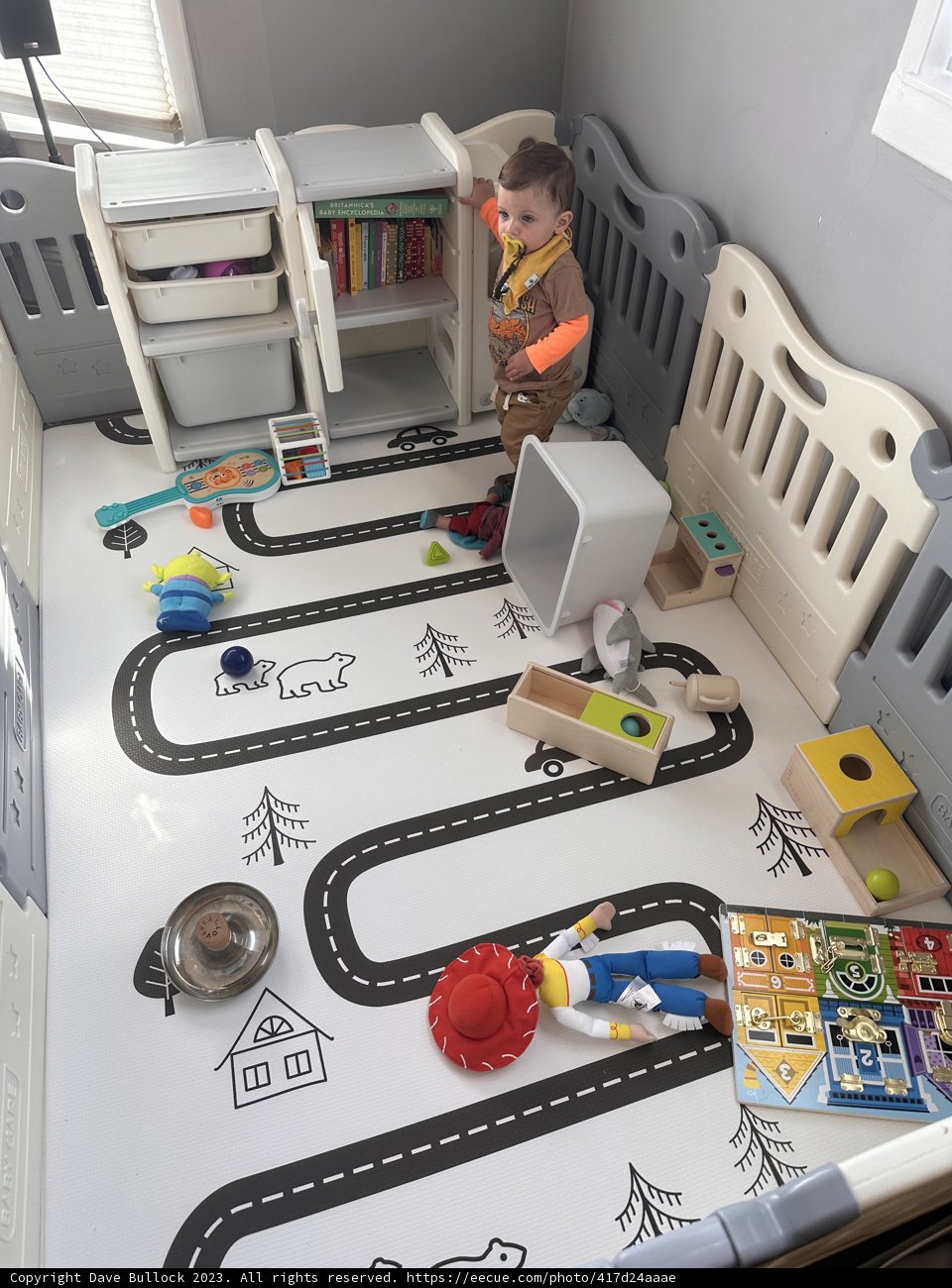 A Playful Toddler's Room in California