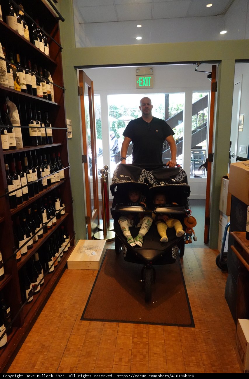 Afternoon Stroll Through the Cellar