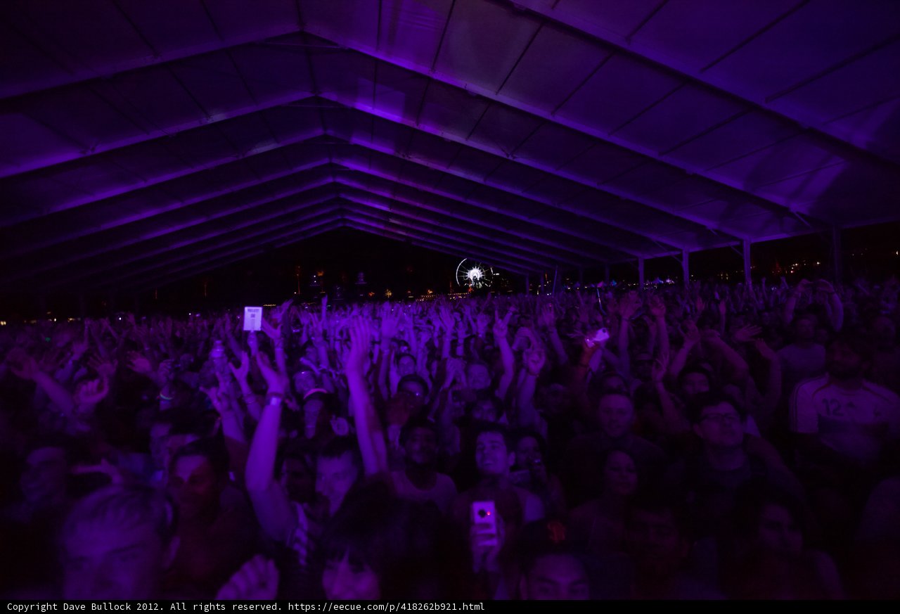 Purple Haze Crowd