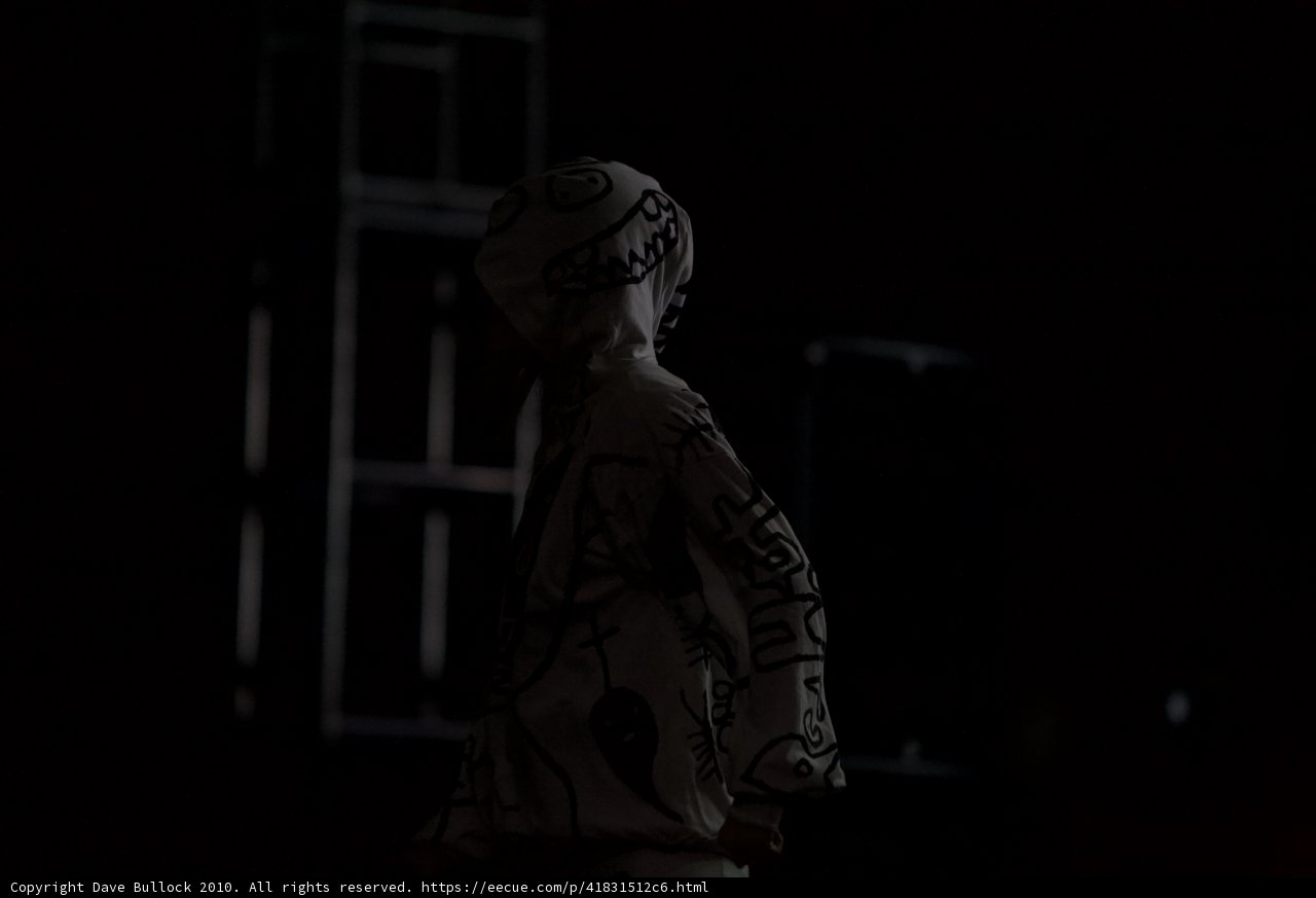 Hooded Figure in Coachella Night