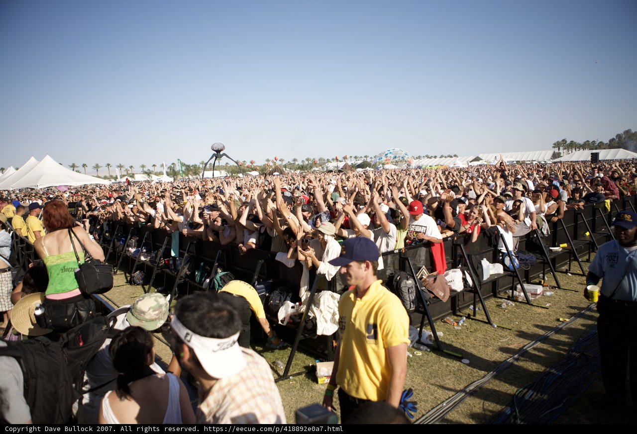 Festival Frenzy