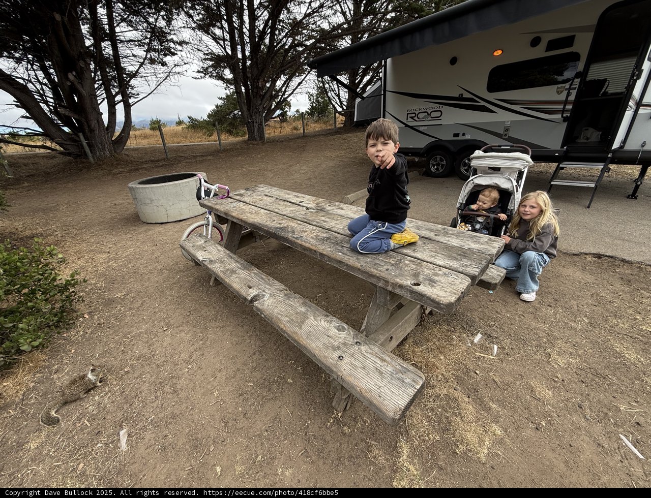 Morning in Cambria