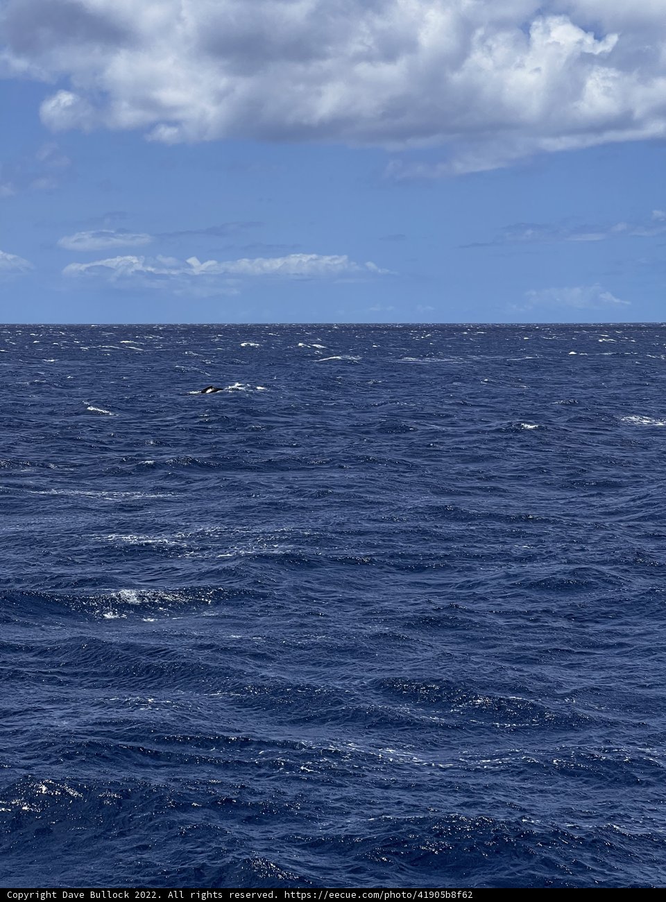 Serenity over the Pacific