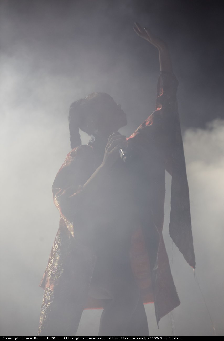 FKA twigs Silhouette Profile Arm Raised Elegant Hand Singing Red Brocade Kimono Braided Ponytails Heavy White Haze