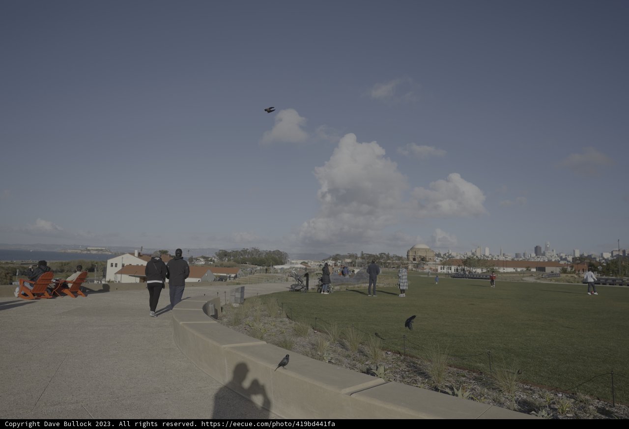 Kite Flying Fun in the Park