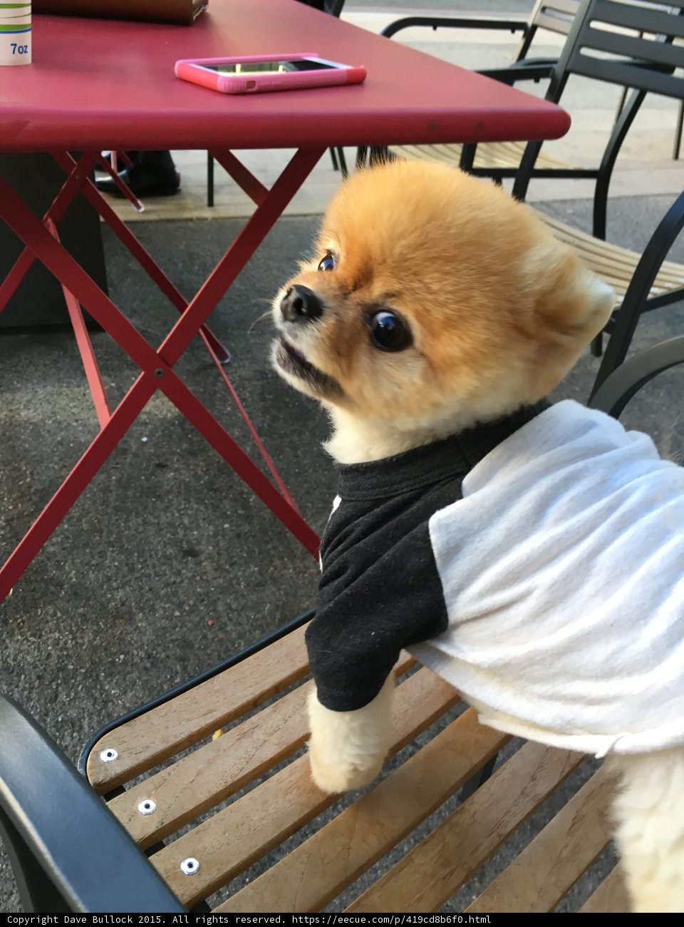 Jiff Close-Up