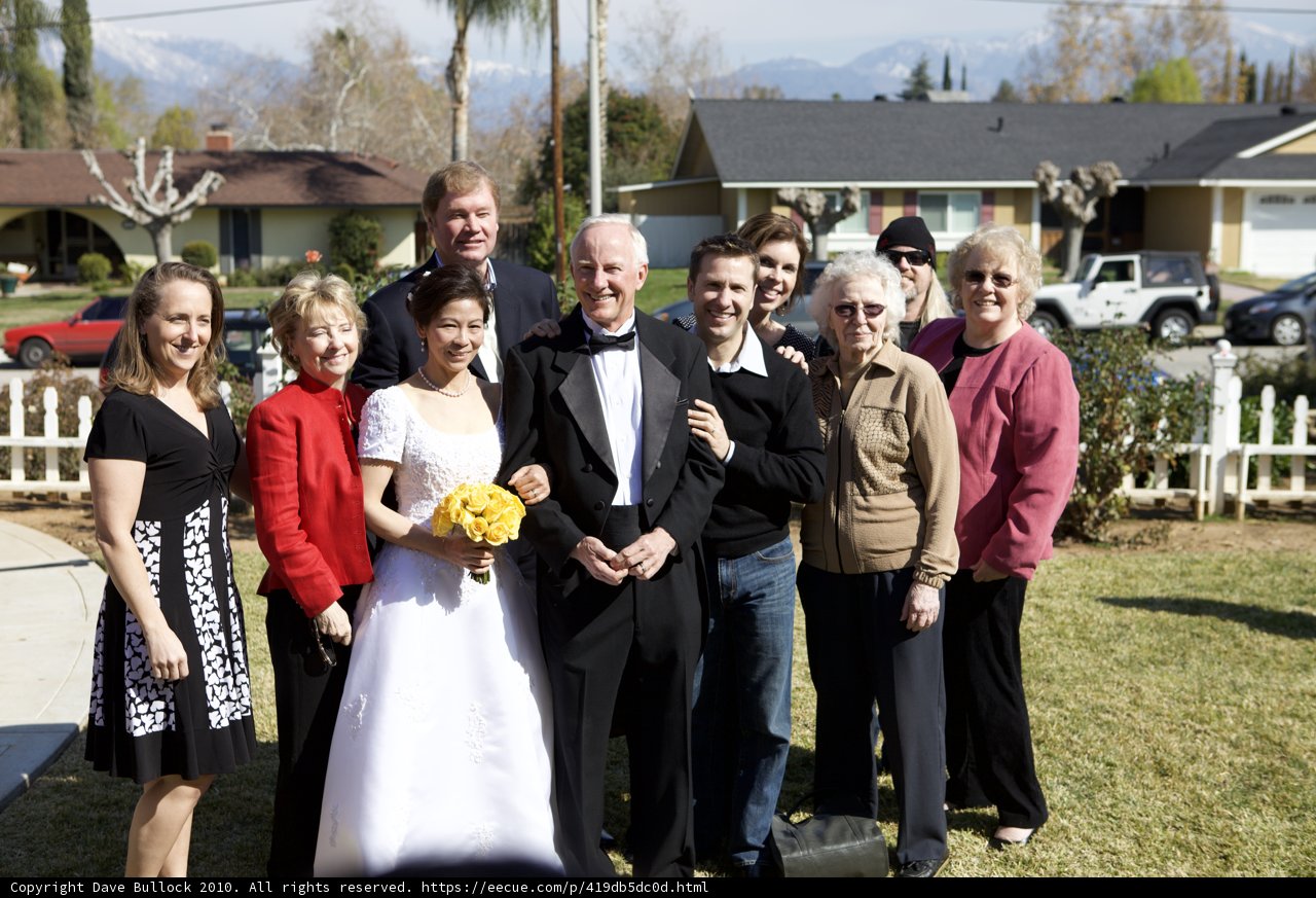 Wedding Guests Pose for a Group Photo