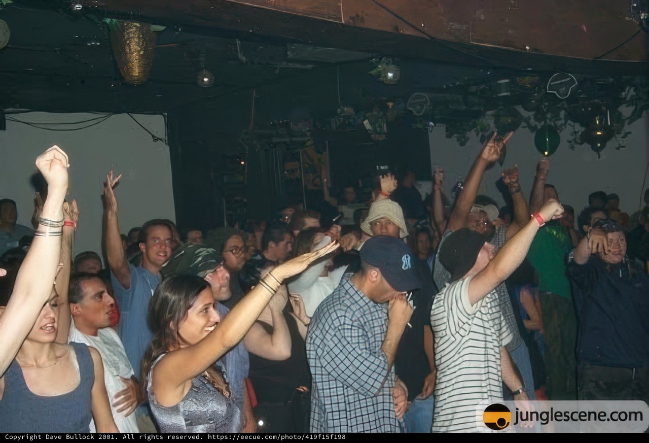 Night Club Fun