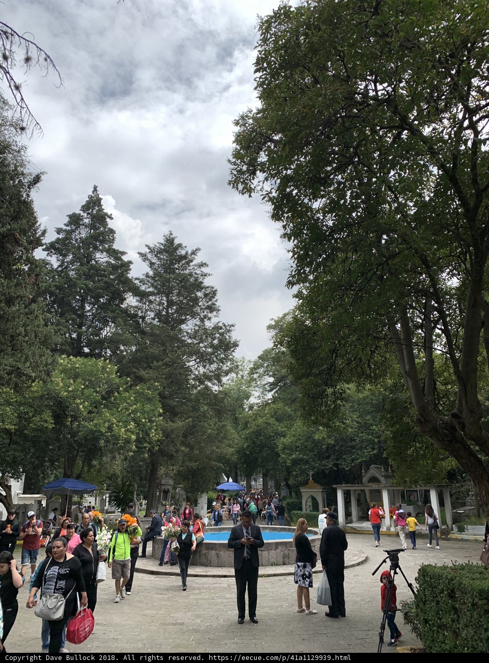A Walk in the Park
