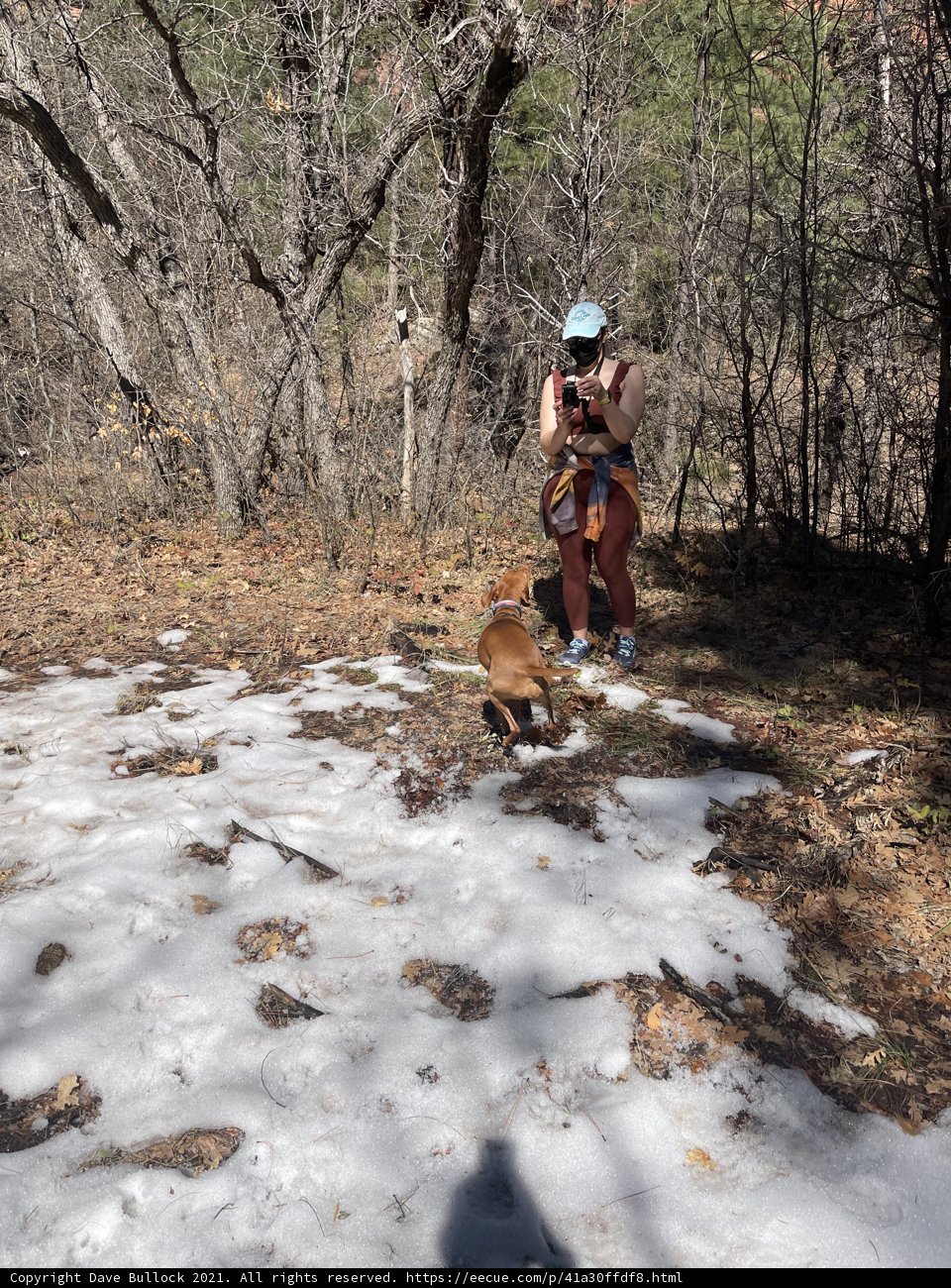 Winter Walkies in Coconino National Forest