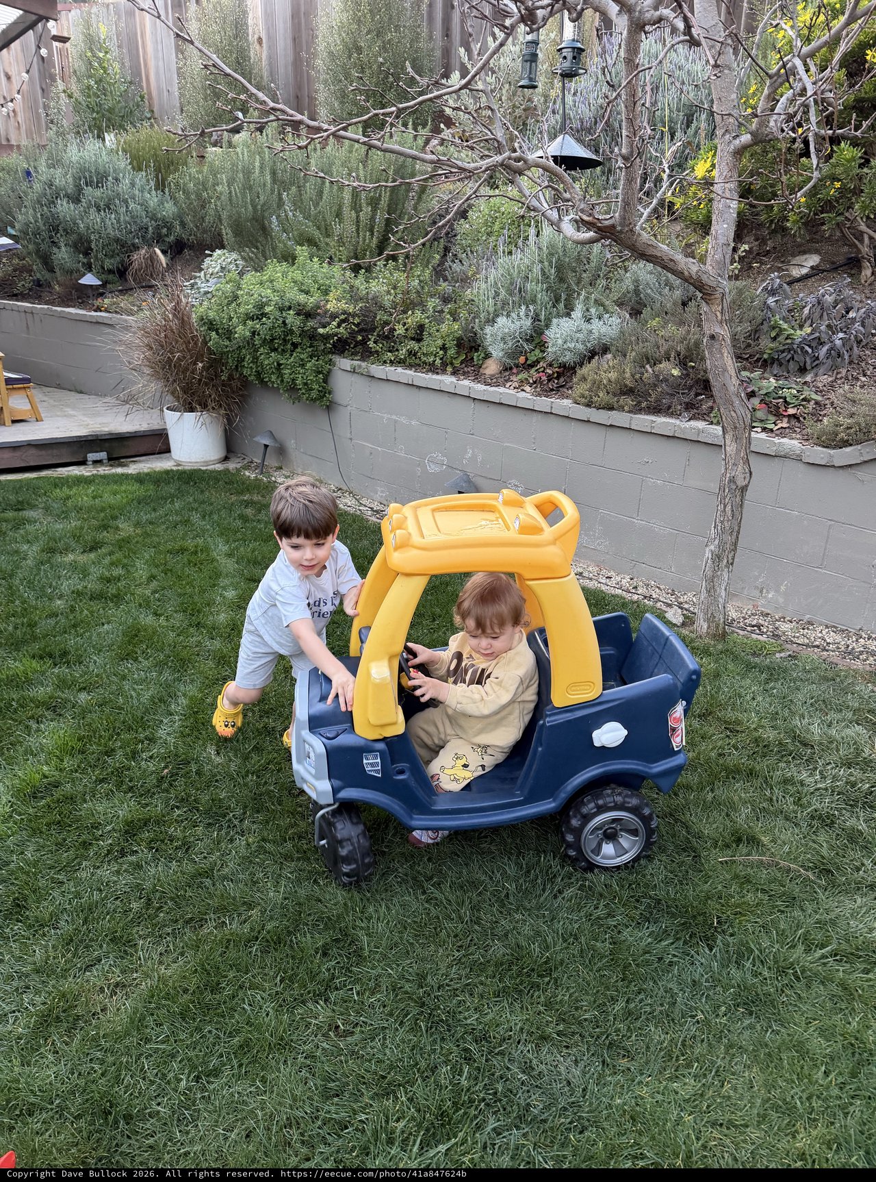 Brothers Playing in Toy Truck in Backyard Garden