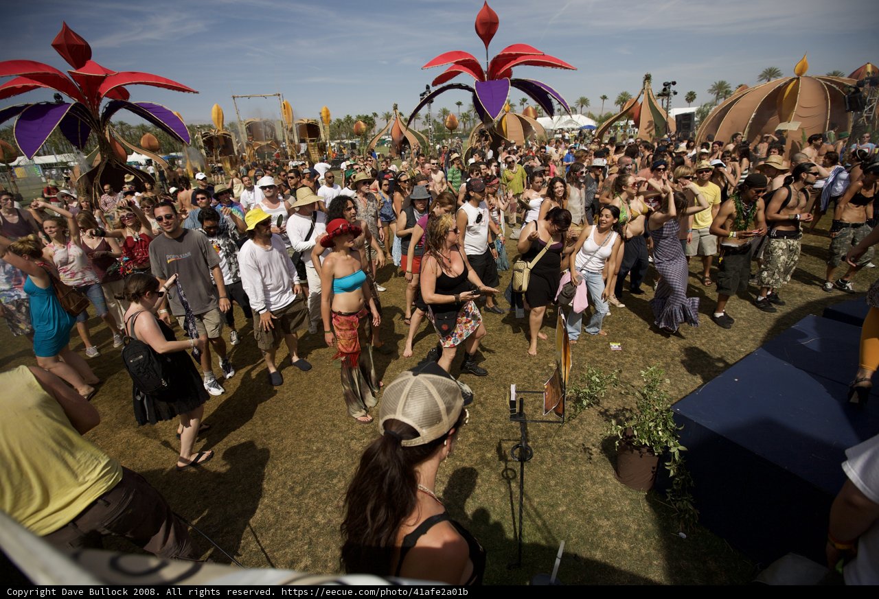 Coachella Crowd Under the Blue Sky