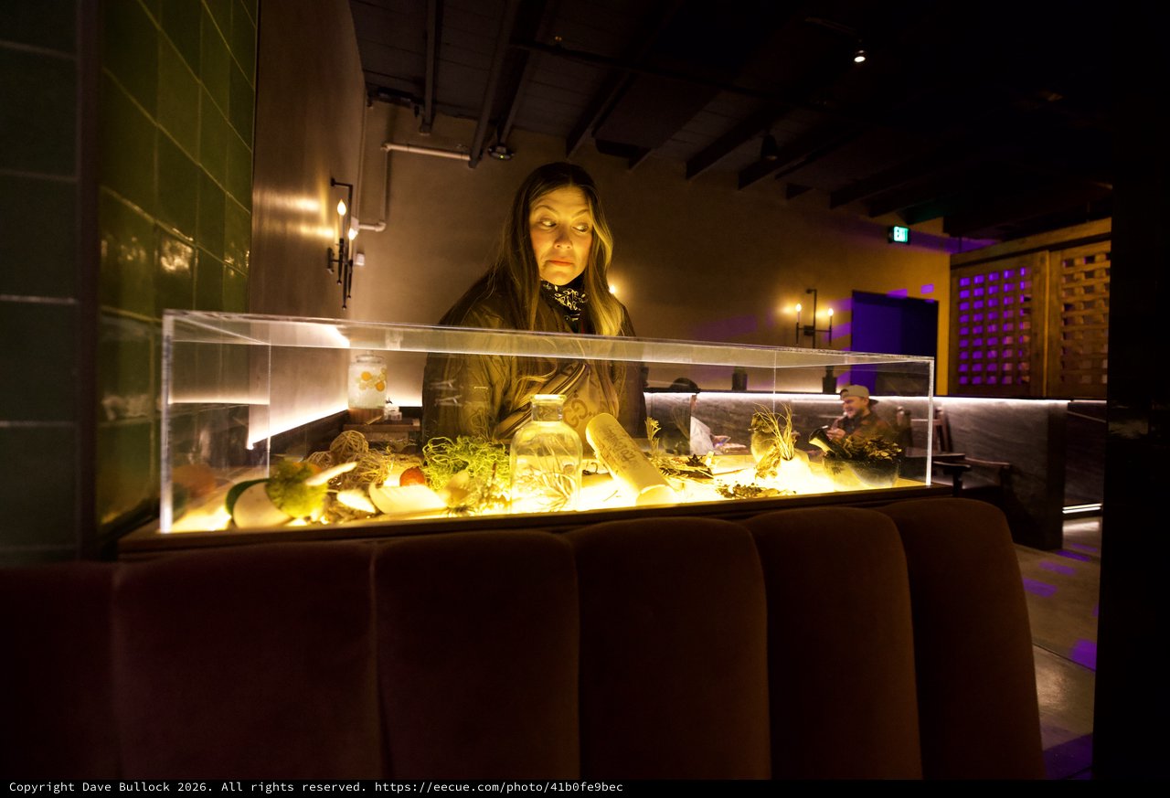 Woman Examining Illuminated Museum Display Case at Night