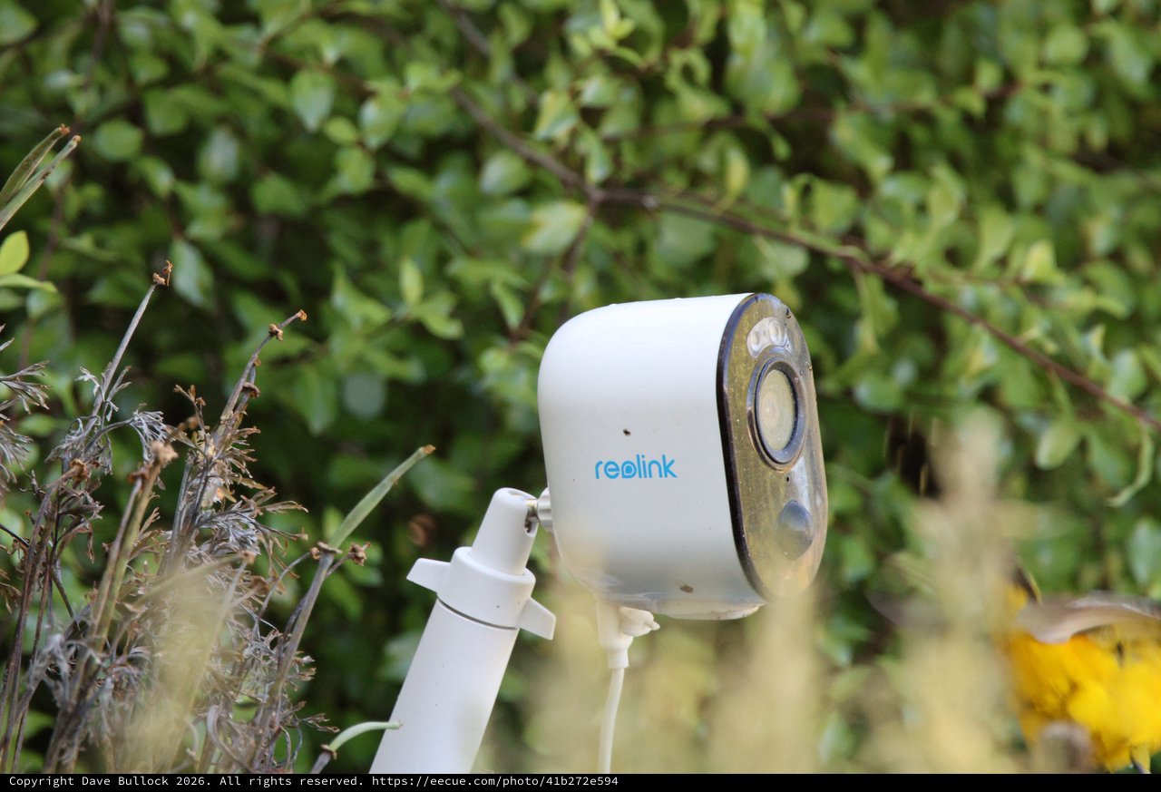 Reolink Security Camera Mounted in Garden Setting