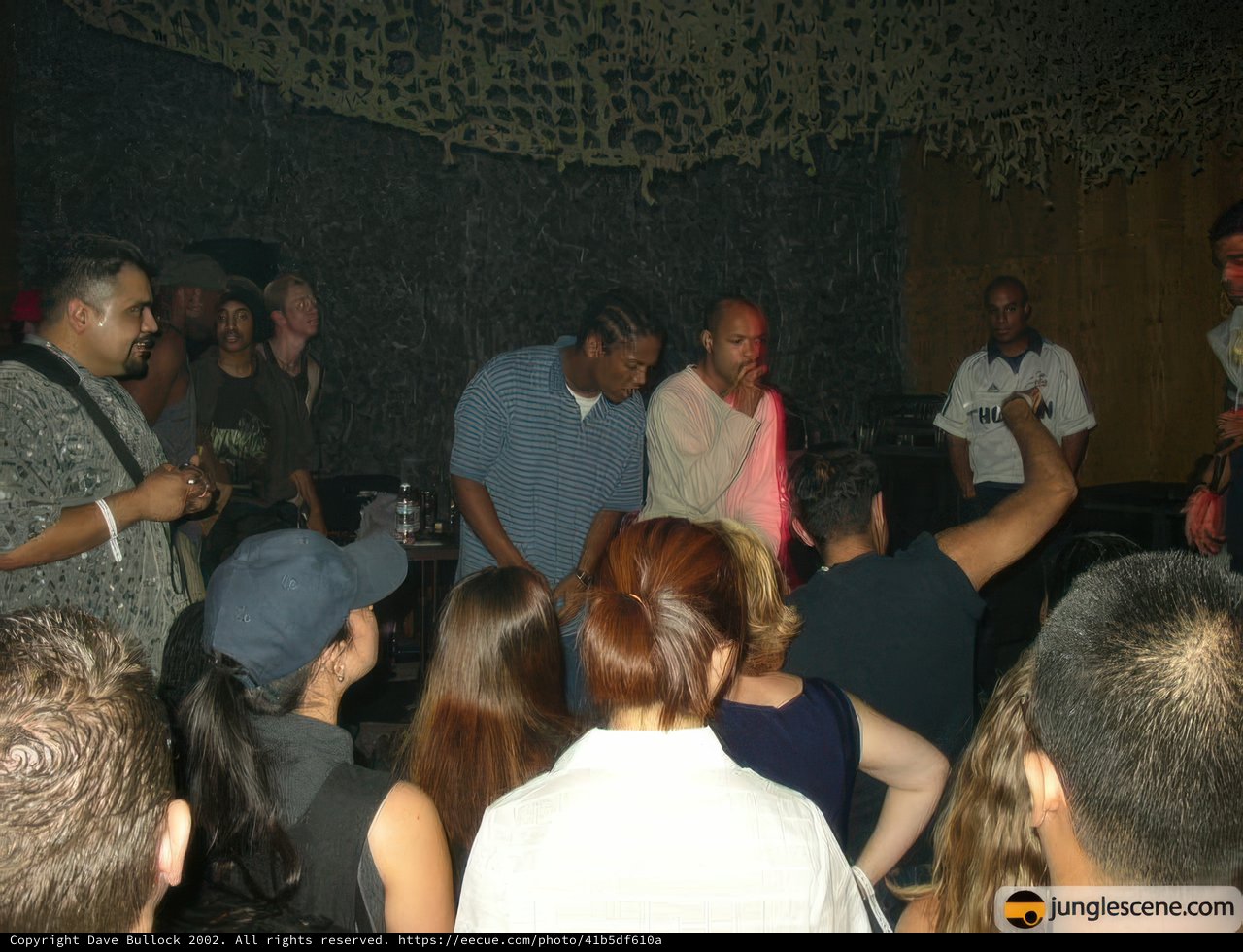 Nightclub Gathering