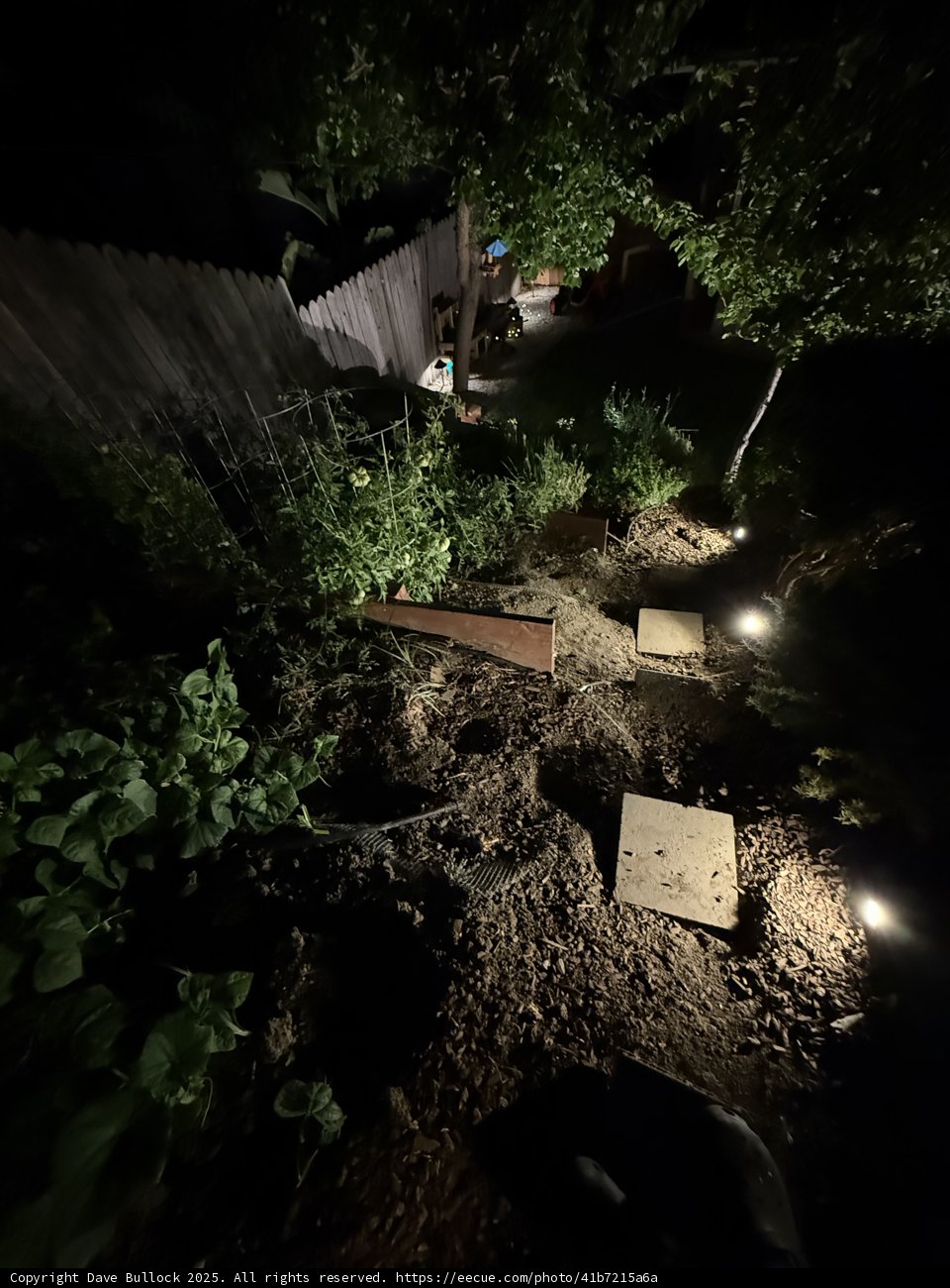 Moonlit Garden Path