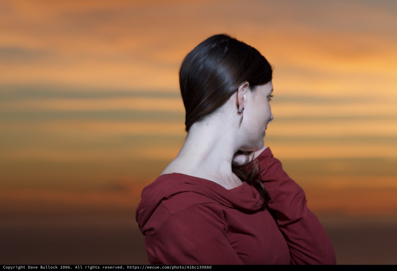 Penelope Gazes Into the Golden Sunset Sky