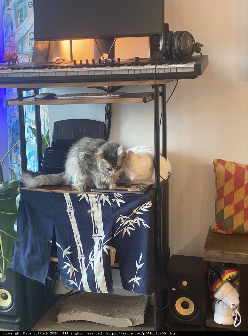 Sound Asleep