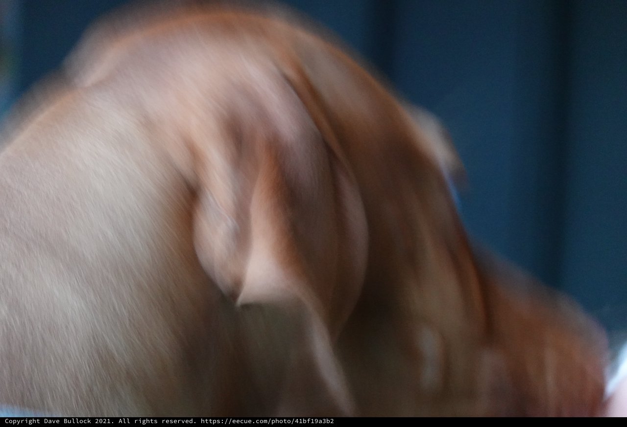 Motion Blur Portrait in Blue Light