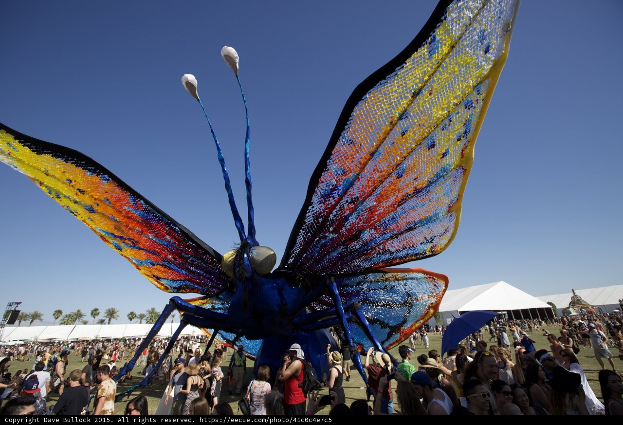 Butterfly Sculpture Takes Flight at Coachella