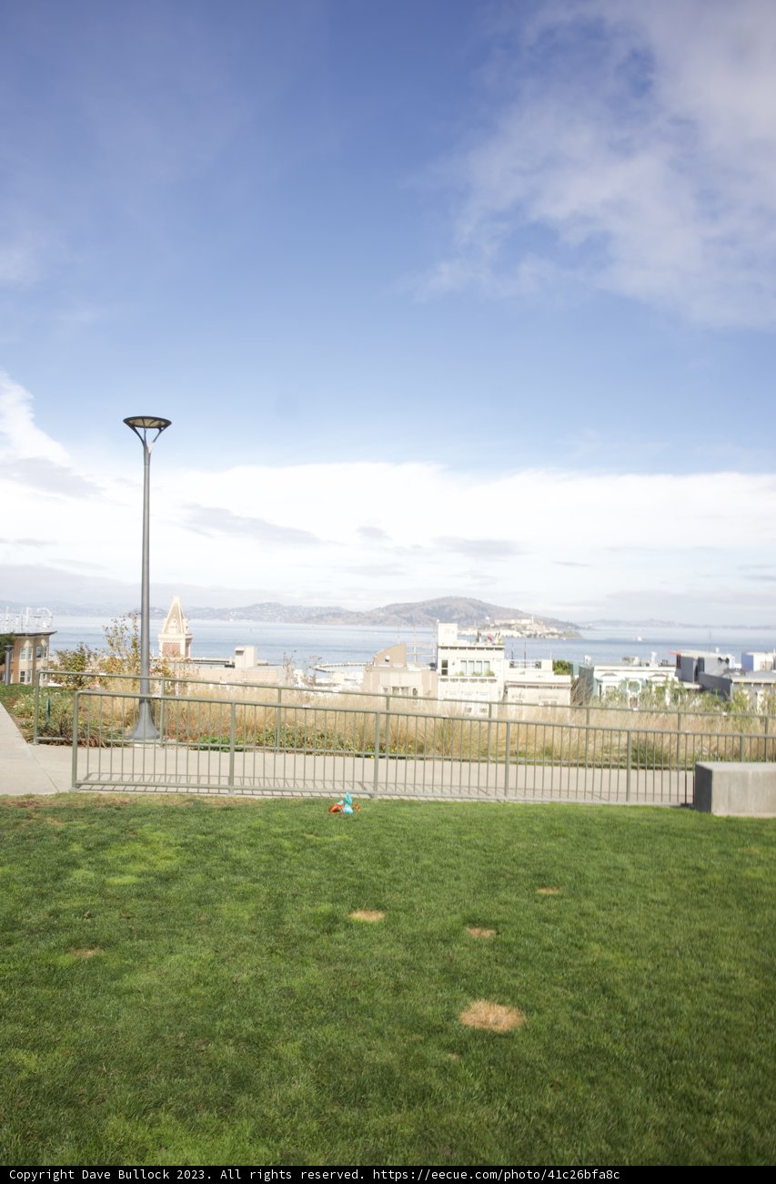 The Urban Oasis