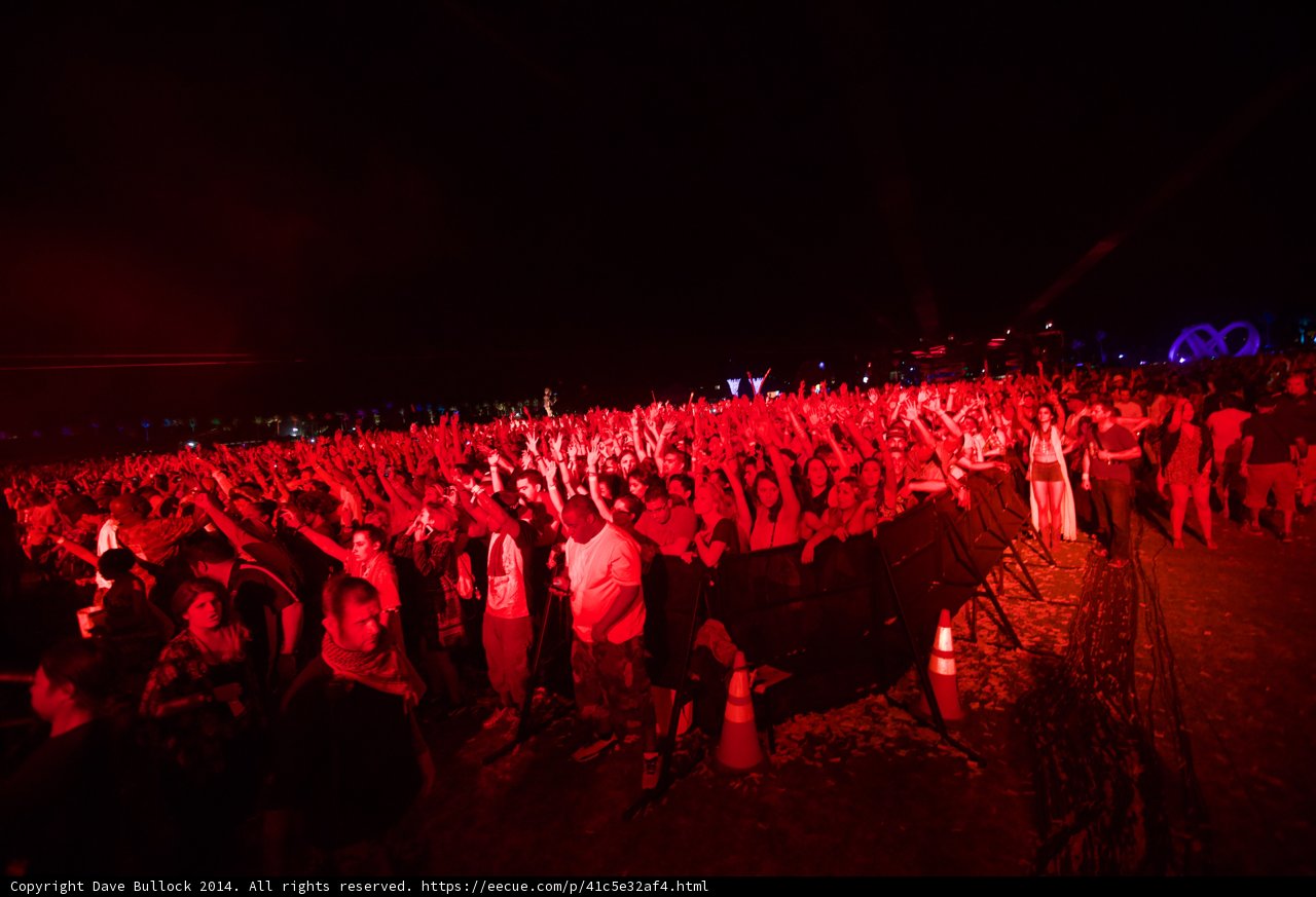 Arms Up in the Night Sky