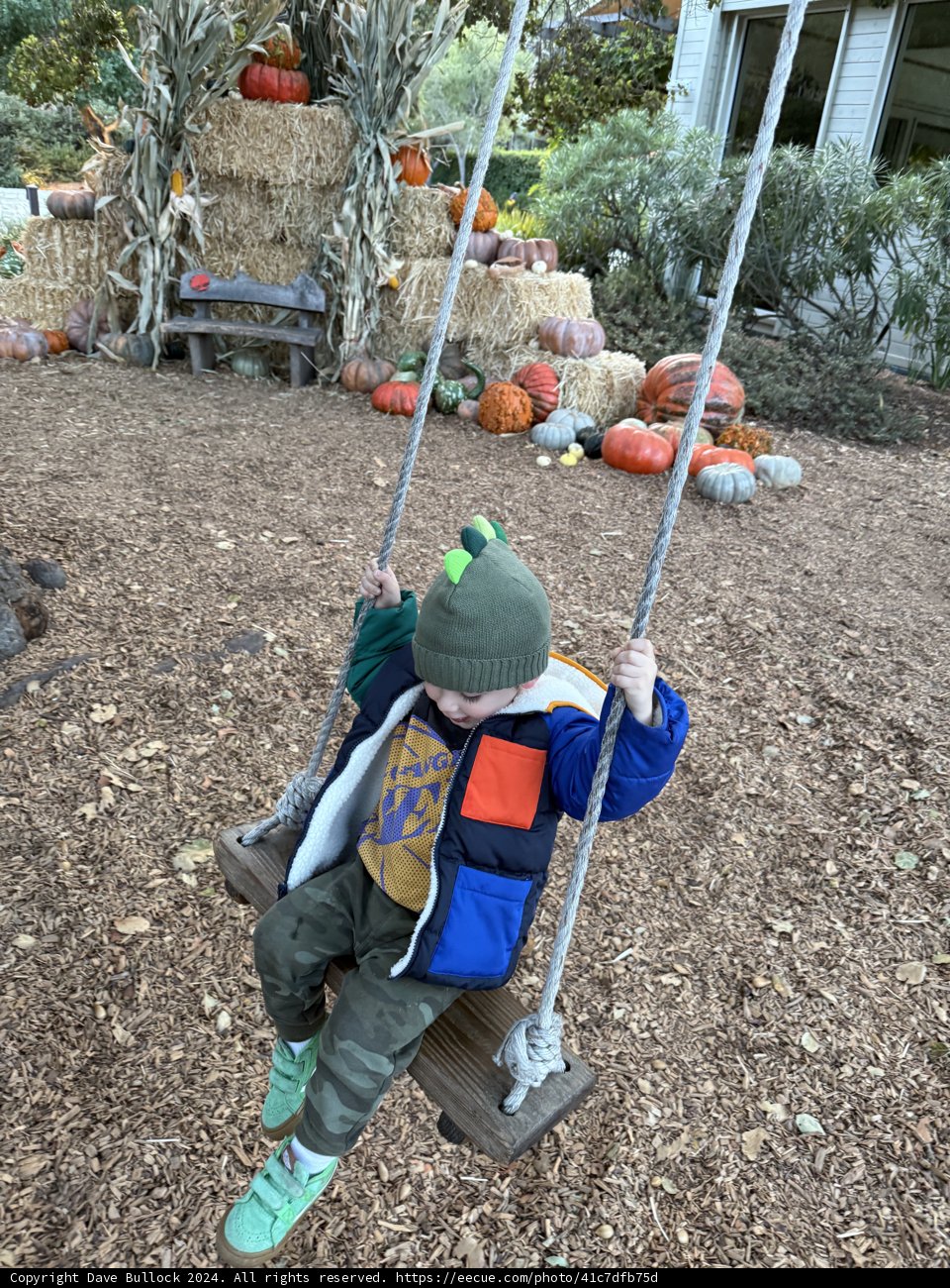 Autumn Swing Adventure